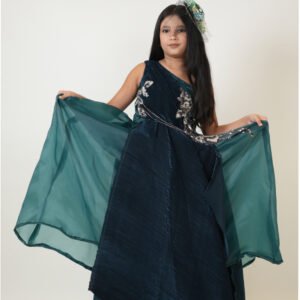 Girls Embellished Fit & Flare Dress