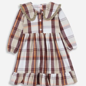 Ruffled Collar Dress