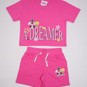 Pink Dreamer Night Suit