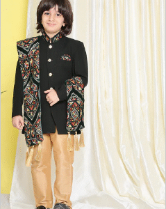 Heritage Fusion Festive Ensemble